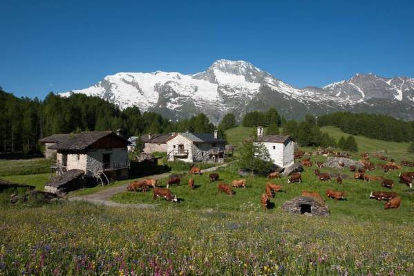 Discover the resort of Sainte Foy Tarentaise in summer