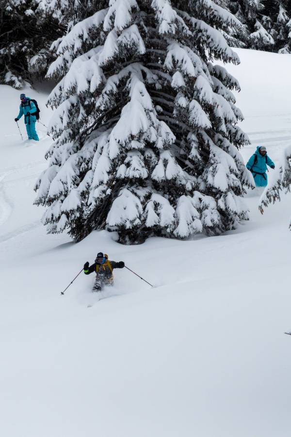 Nordic ski touring