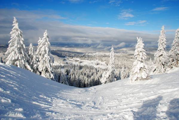 Discover the resort of Saint-Cergue - La Dôle