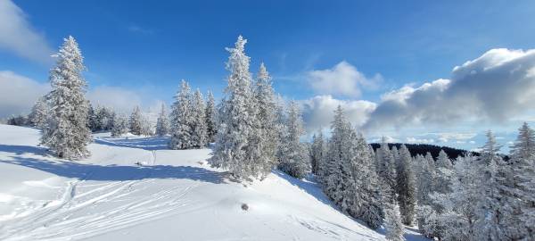 At what age can I start snowshoeing?