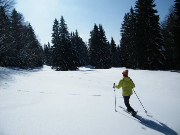 Ski Altai Hok