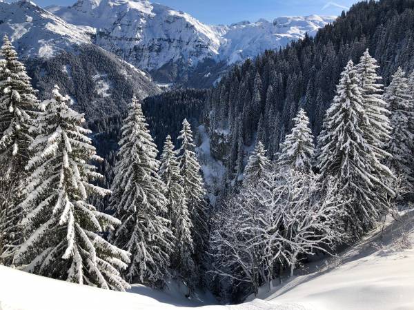 Flaine - Grand Massif | Fliegen