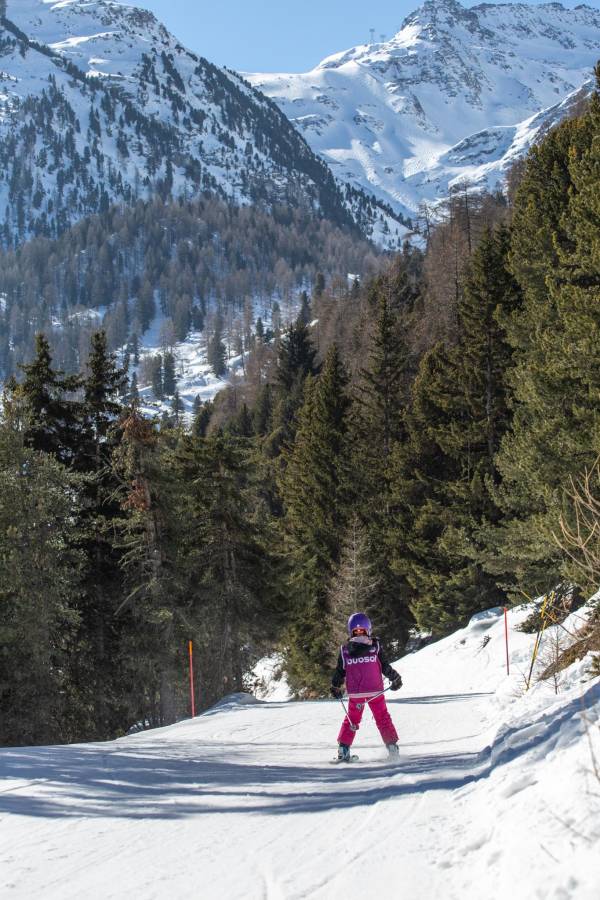 Discover the Art of Alpine Skiing with ESI