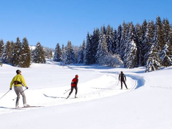 Winter Sports and Calories: Gliding Towards a Radiant Shape!