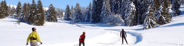 Winter Sports and Calories: Gliding Towards a Radiant Shape!
