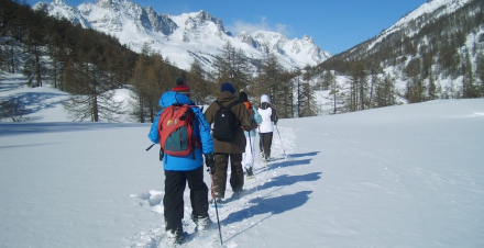 Snowshosing