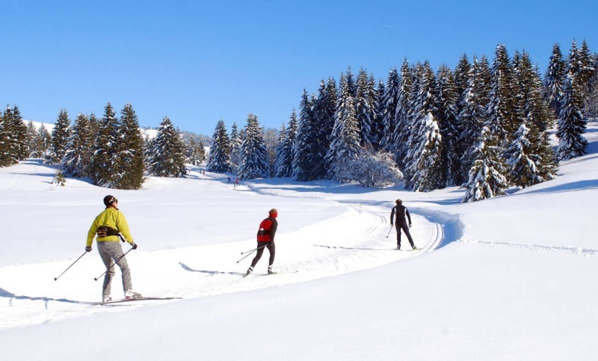 Winter Sports and Calories: Gliding Towards a Radiant Shape!