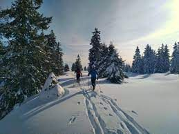 Nordic ski touring