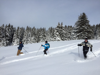 Snowshoe walk