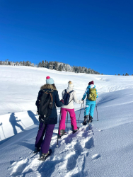 Snowshoe walk